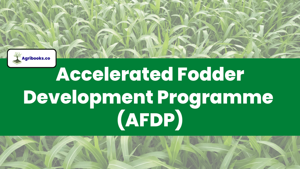 Accelerated Fodder Development Programme (AFDP)