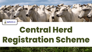 Central Herd Registration Scheme