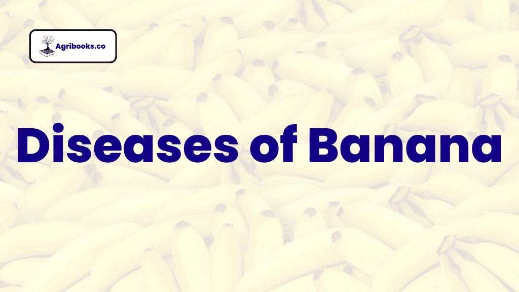 Diseases of Banana