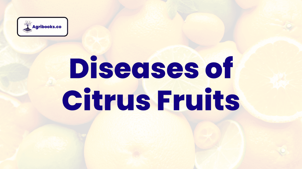 Diseases of Citrus Fruits