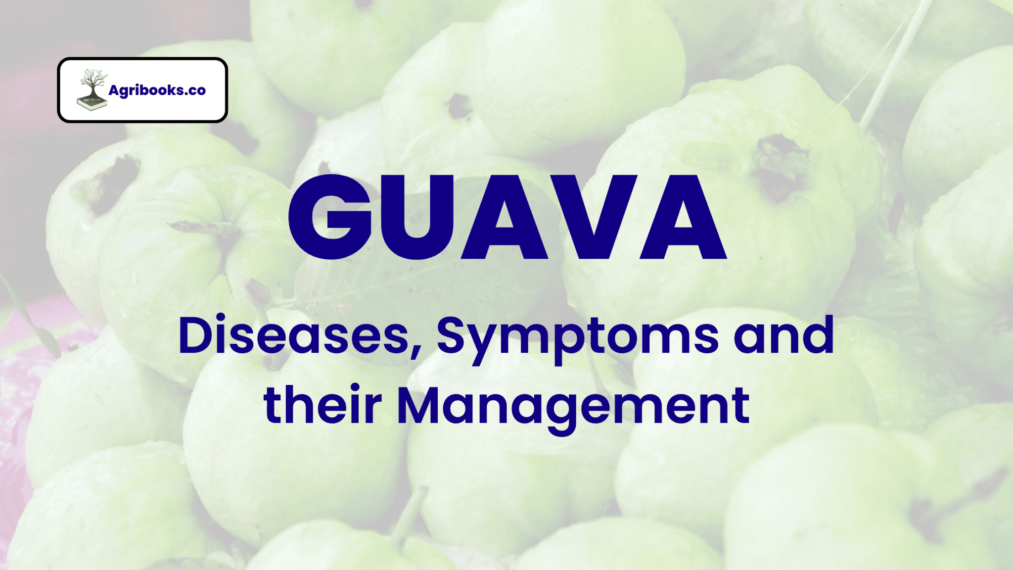 Guava Diseases, Symptoms and their Management Agri Books
