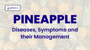 Pineapple: Diseases, Symptoms and their Management