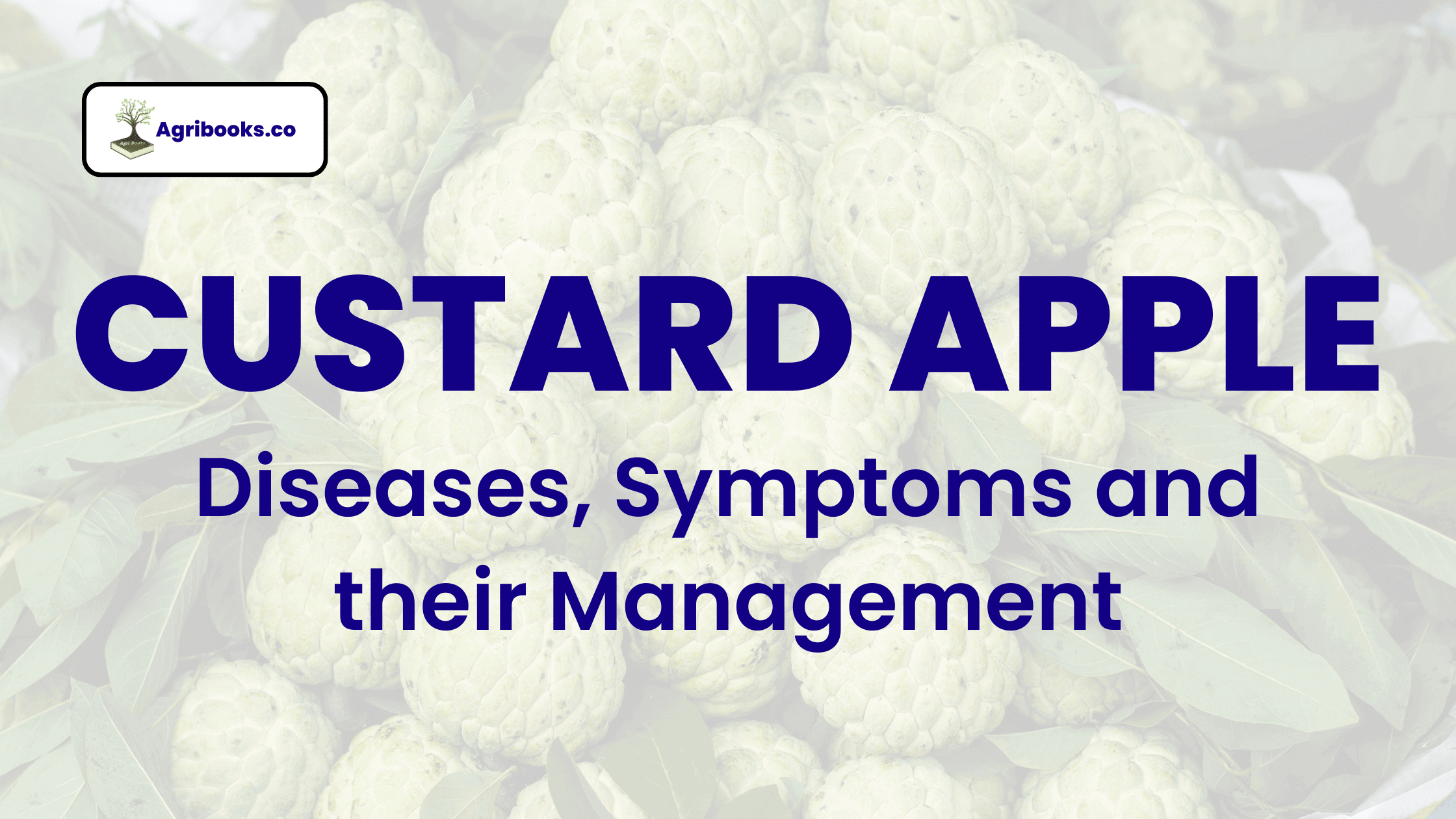 Diseases of Custard apple
