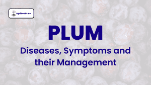 Plum: Diseases, Symptoms and their Management