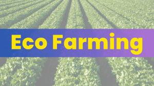 Eco or Ecological Farming | Definition, Principles and Benefits