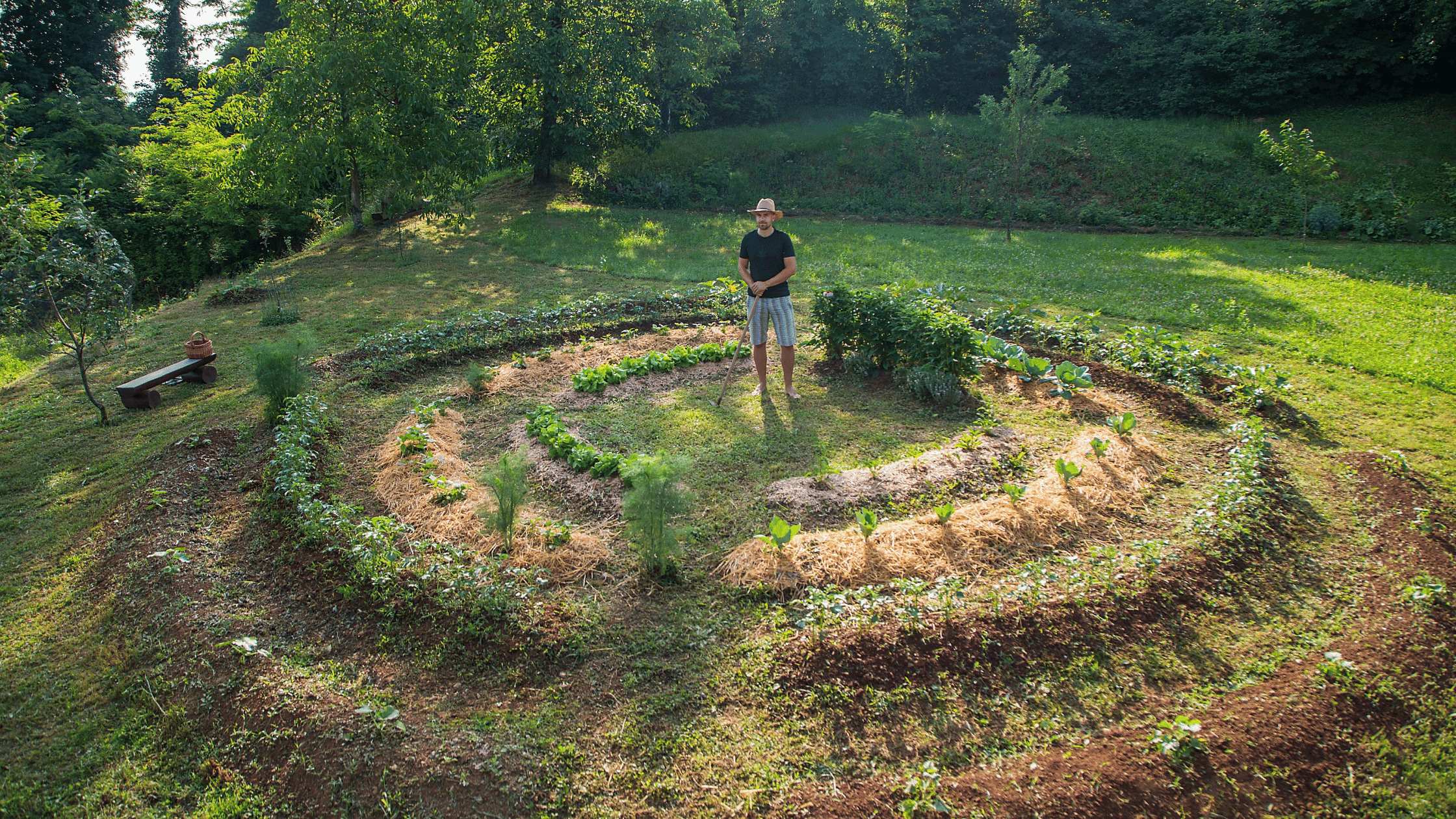 Permaculture – Definition, Principles and Benefits