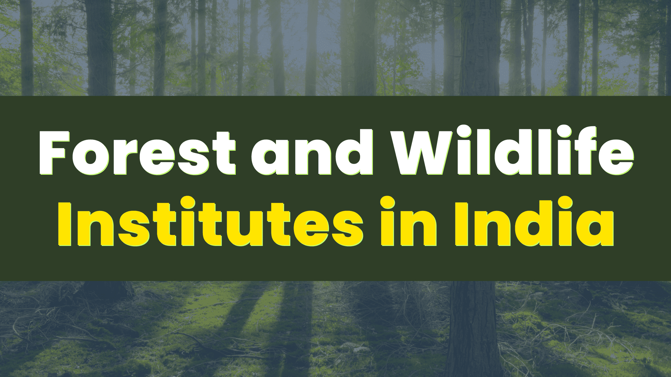 Forest and Wildlife Institutes in India