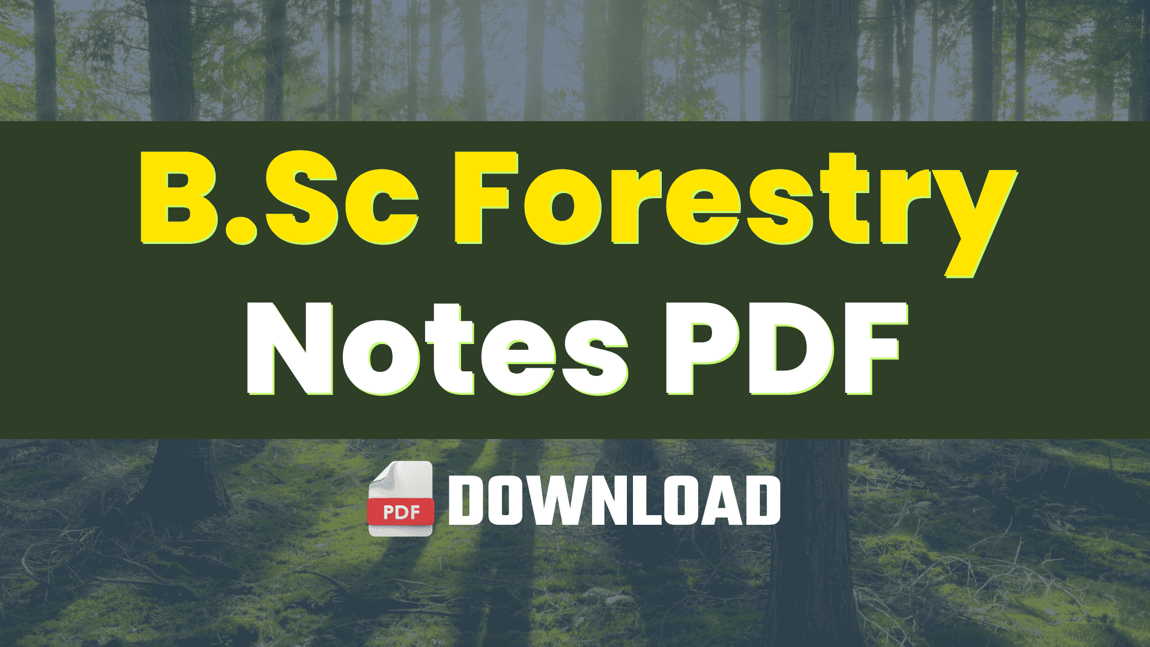 bsc forestry notes